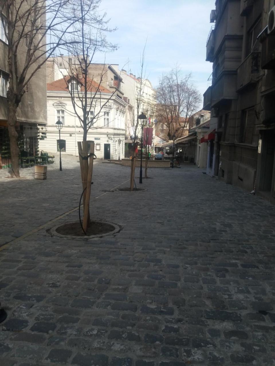 City Center Room Βελιγράδι Εξωτερικό φωτογραφία